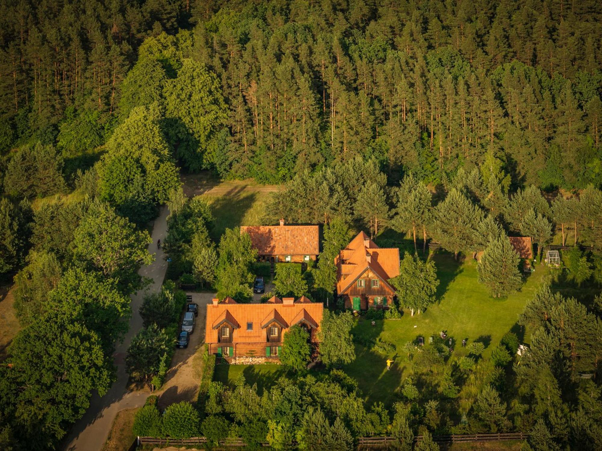 Gosciniec Szuwary *